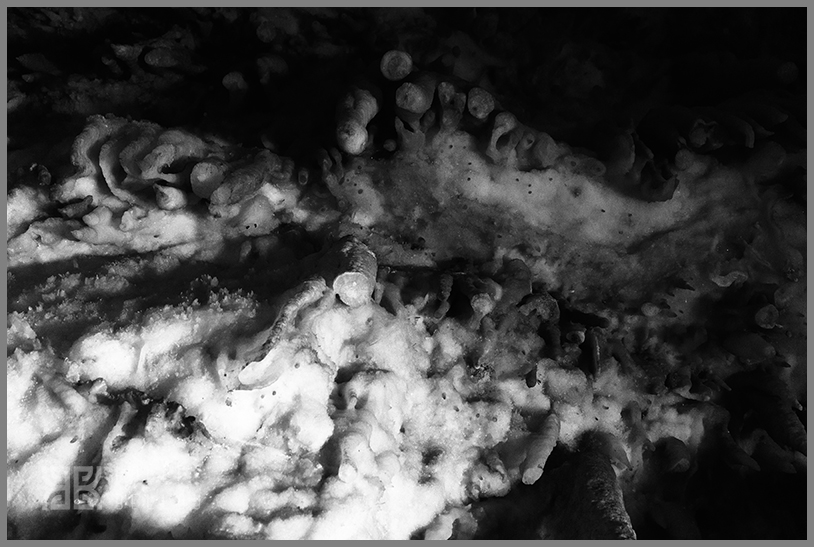 � Kalli Bellou / www.kallibellou.com